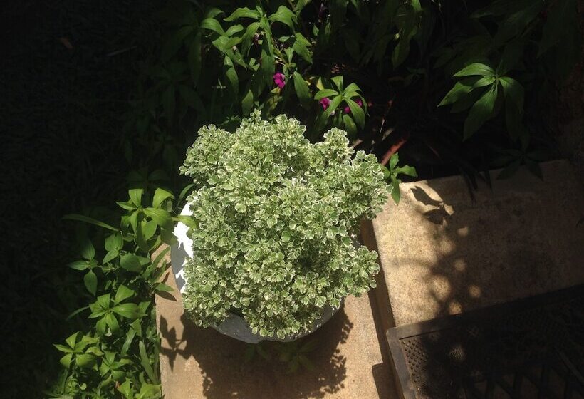 膳宿费 Home Feel Home Stay