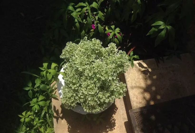 Pensão Home Feel Home Stay