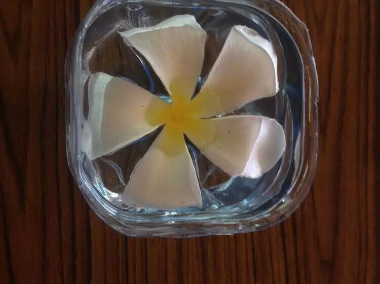 Pensão Home Feel Home Stay