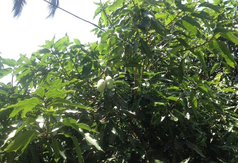 膳宿费 Home Feel Home Stay