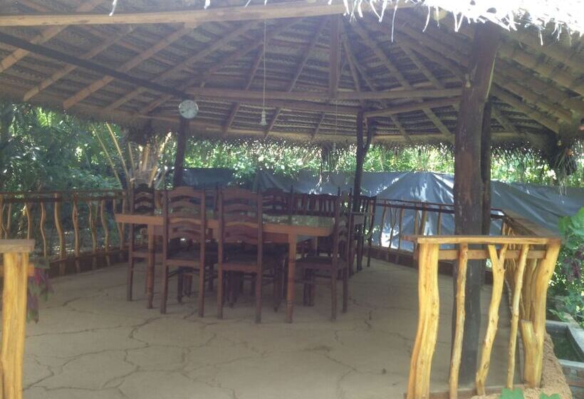 膳宿费 Home Feel Home Stay