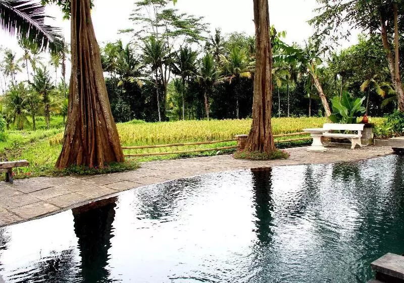 Umasari Rice Terrace Villa