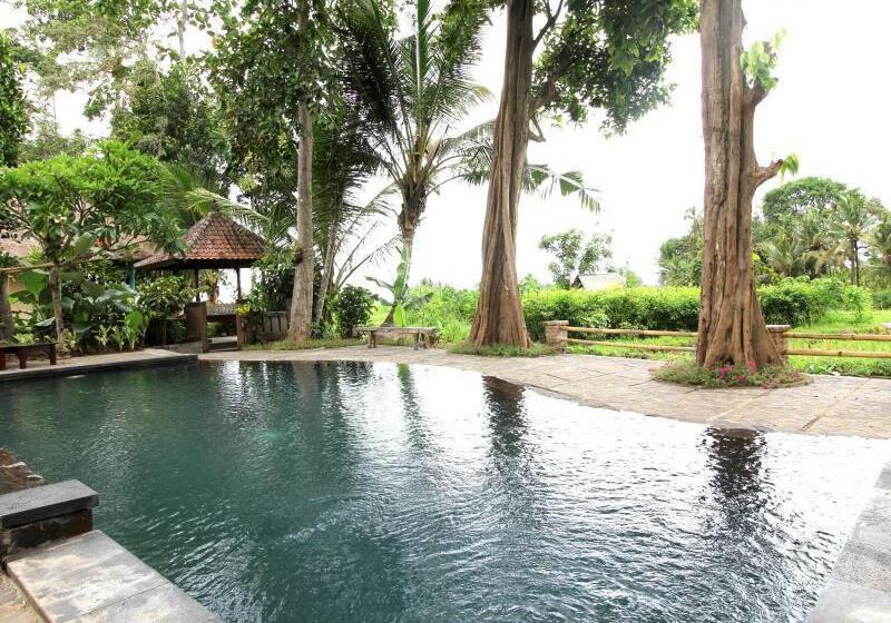 Umasari Rice Terrace Villa