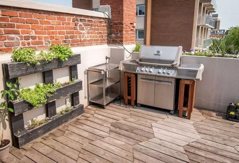 Общежитие Auberge Du Plateau