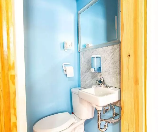 Общежитие Auberge Du Plateau