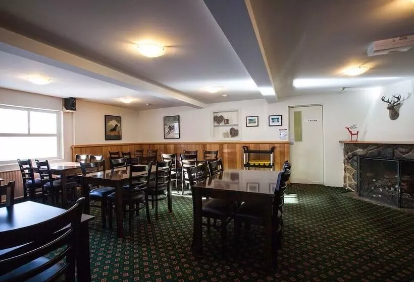 Bed and Breakfast The Lions Lair