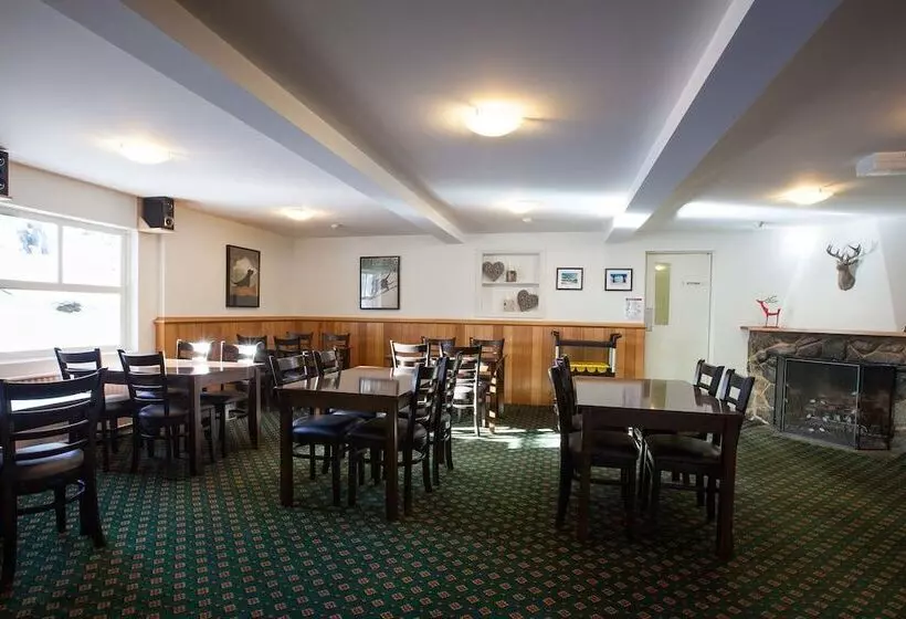 Bed and Breakfast The Lions Lair