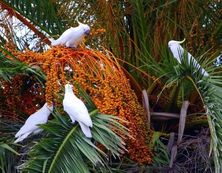 Coastal Comfort Motel