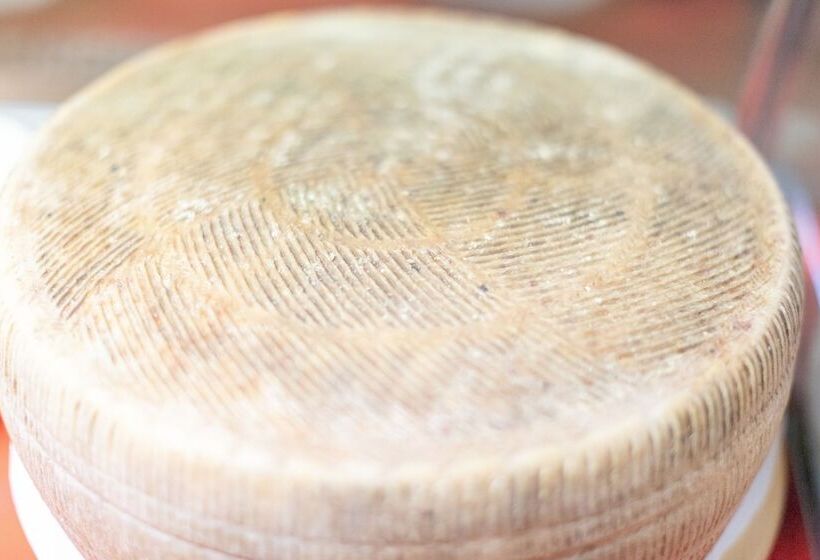 ホテル Agriturismo Podere San Giorgio