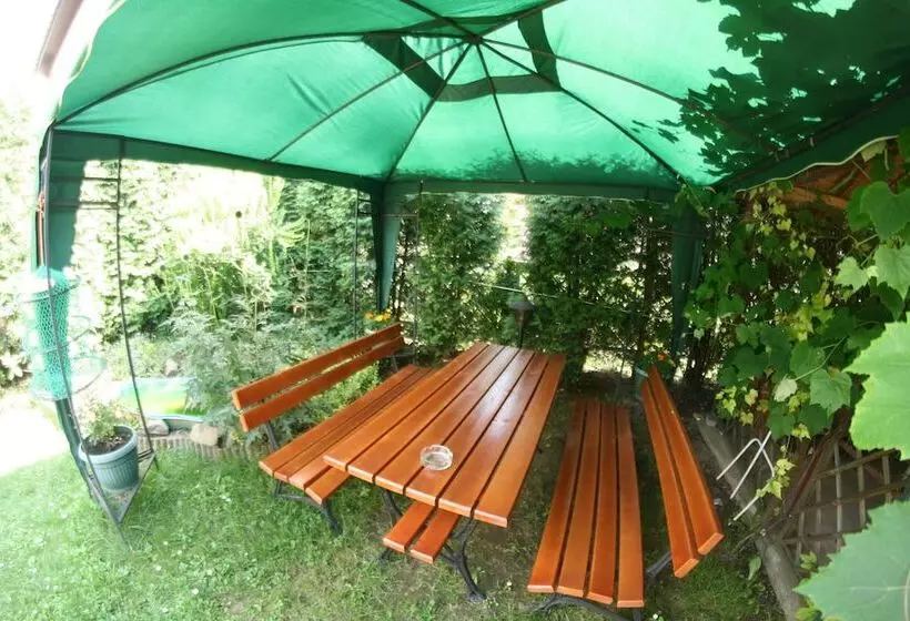 هتل Daisy Superior