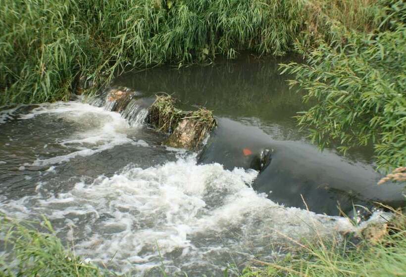 בית מלון כפרי Daisy Superior