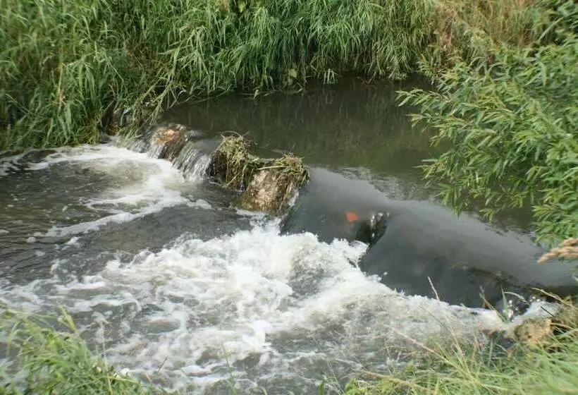 هتل Daisy Superior