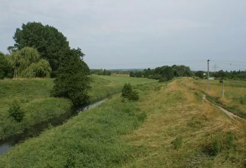 هتل Daisy Superior