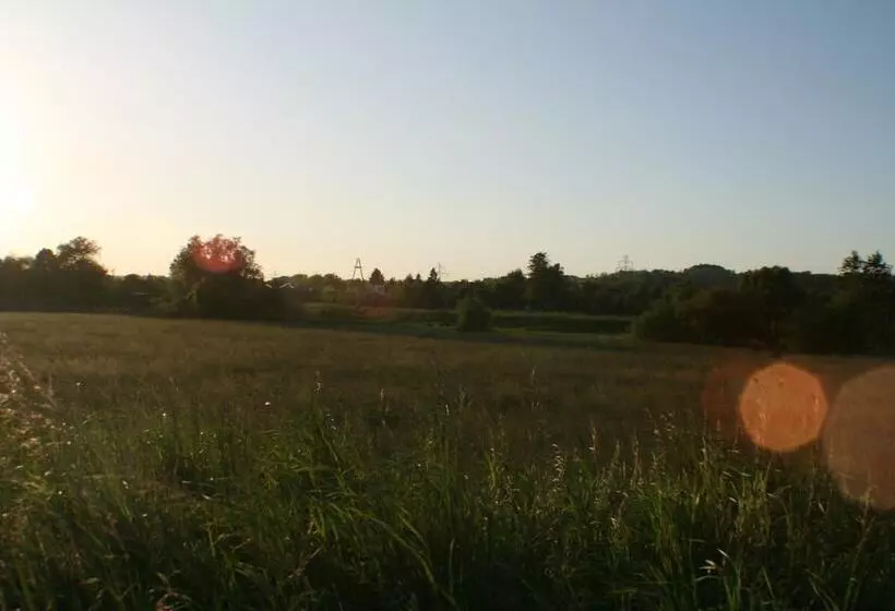 هتل Daisy Superior