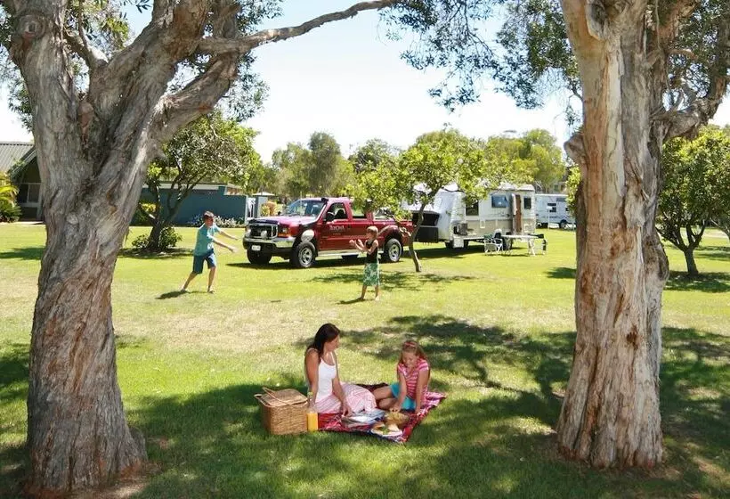 בית מלון כפרי Kirra Beach Tourist Park