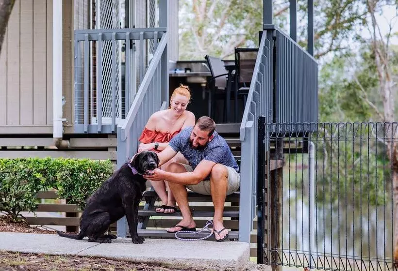 בית מלון כפרי Kirra Beach Tourist Park