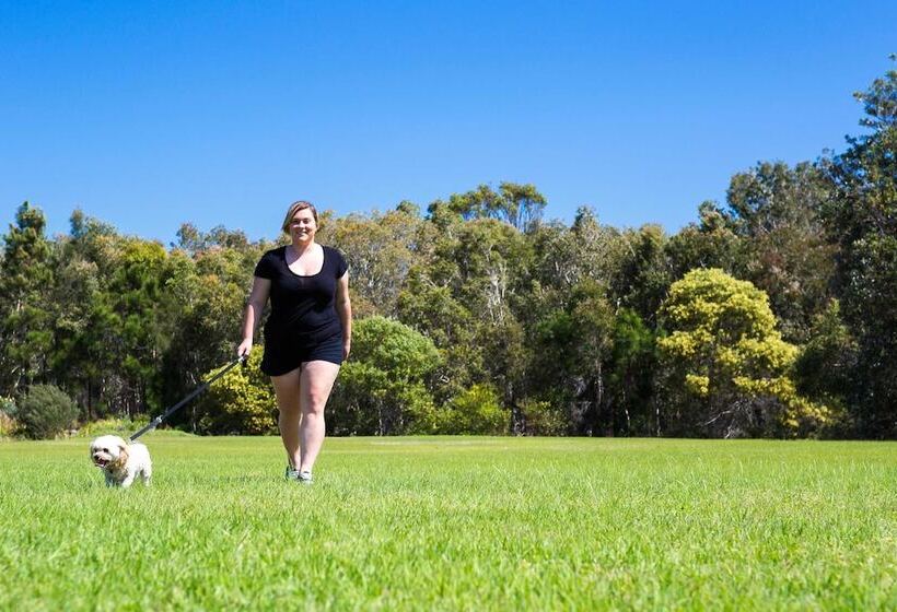 בית מלון כפרי Kirra Beach Tourist Park
