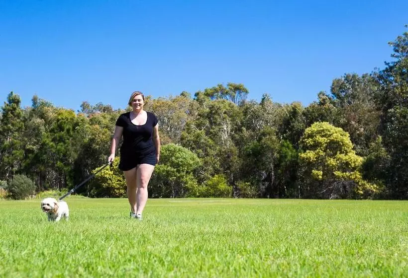 בית מלון כפרי Kirra Beach Tourist Park