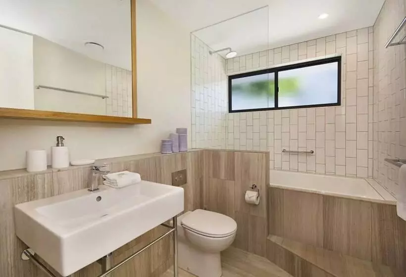 Jacaranda Noosa