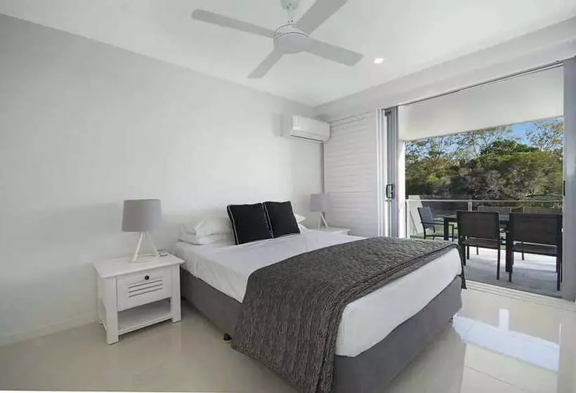Jacaranda Noosa