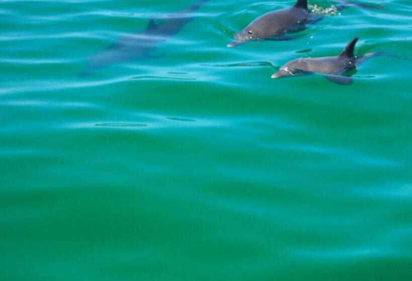 Пансион Anchorage Guest House And Selfcontained Accommodation