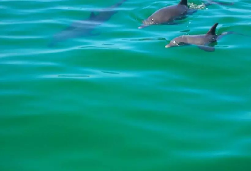 بنسيون Anchorage Guest House And Selfcontained Accommodation