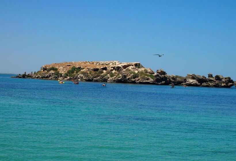 بنسيون Anchorage Guest House And Selfcontained Accommodation