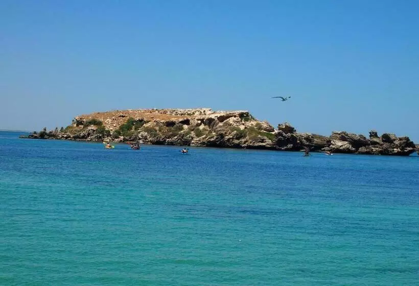 بنسيون Anchorage Guest House And Selfcontained Accommodation