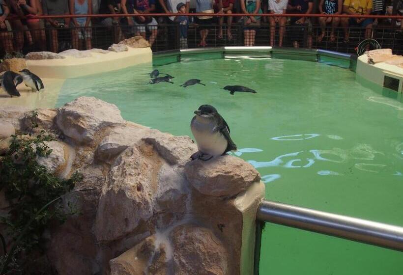 بنسيون Anchorage Guest House And Selfcontained Accommodation