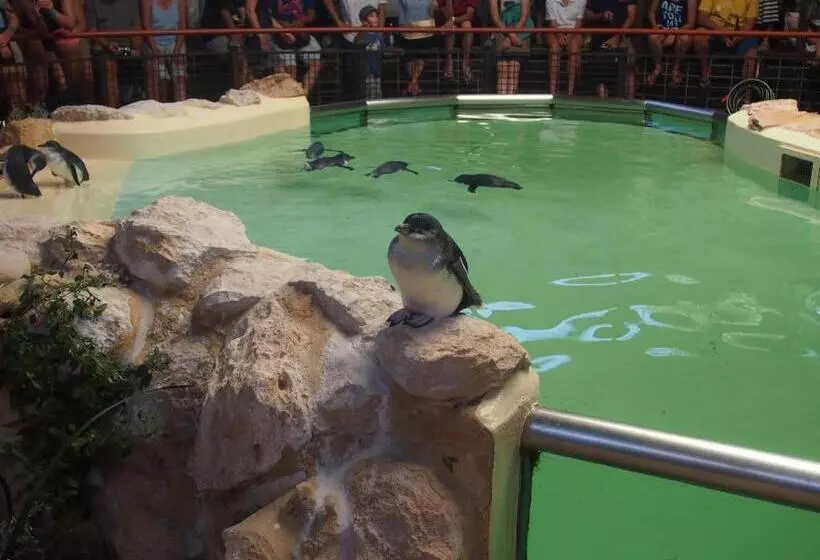 بنسيون Anchorage Guest House And Selfcontained Accommodation