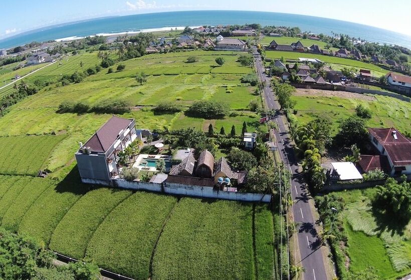 פנסיון Premier Surf Camp