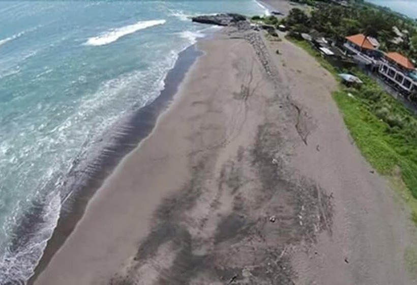 פנסיון Premier Surf Camp