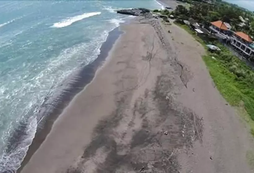 پانسیون Premier Surf Camp