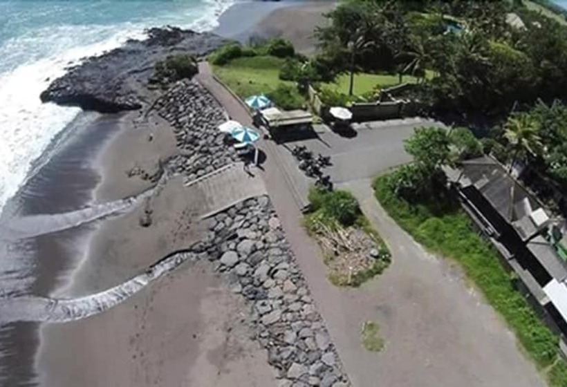 פנסיון Premier Surf Camp