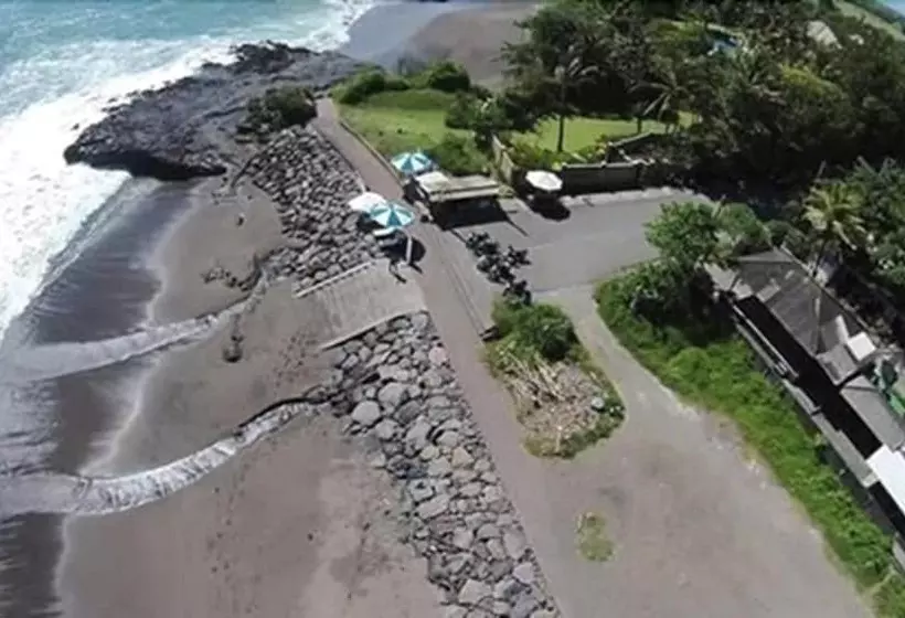 پانسیون Premier Surf Camp