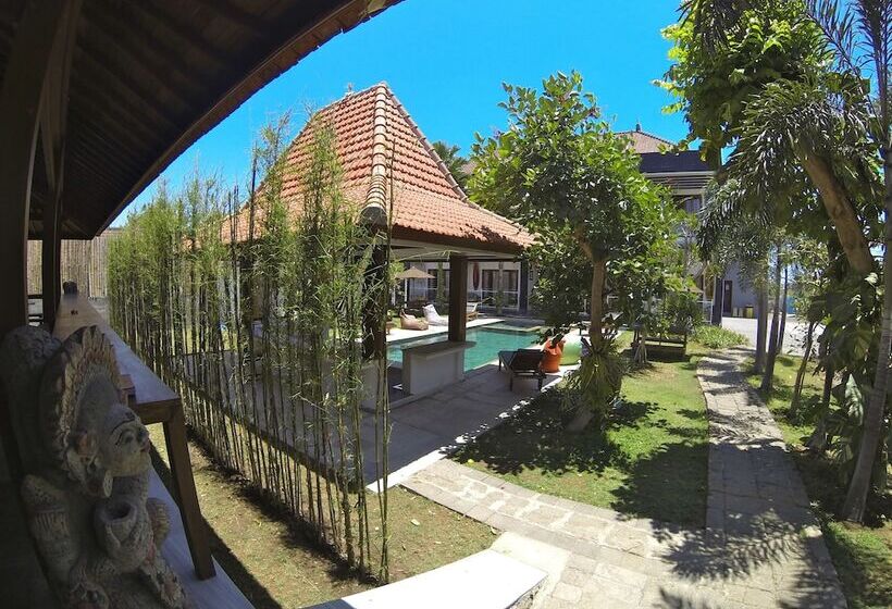 פנסיון Premier Surf Camp