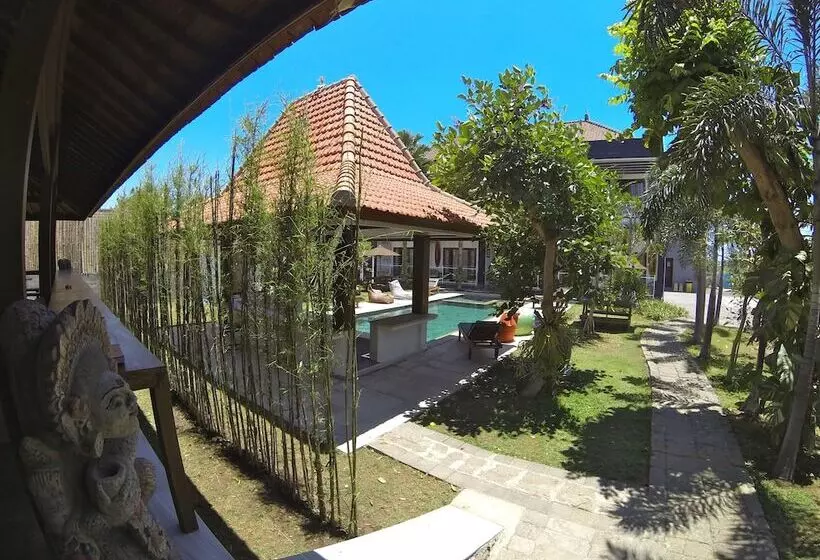 پانسیون Premier Surf Camp