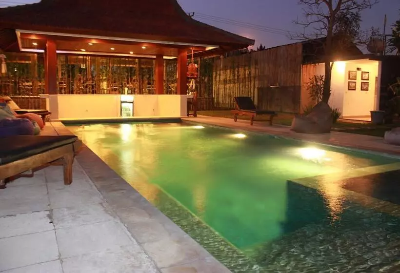 پانسیون Premier Surf Camp