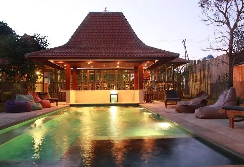 پانسیون Premier Surf Camp