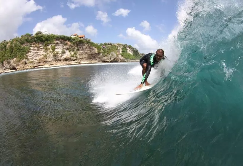 پانسیون Premier Surf Camp