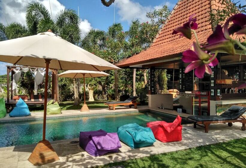 פנסיון Premier Surf Camp