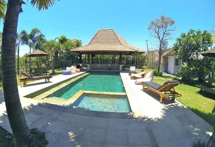 پانسیون Premier Surf Camp