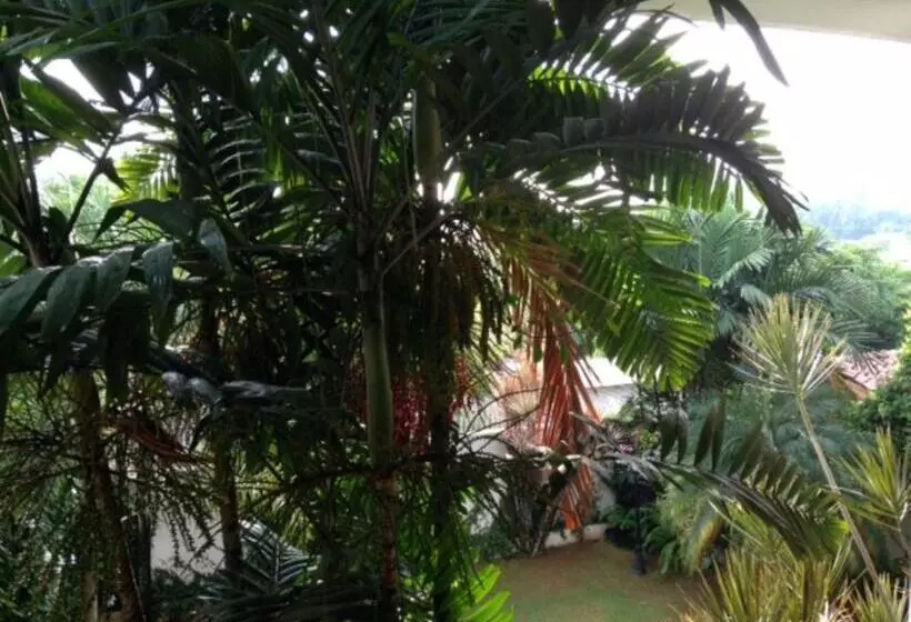 بنسيون Silvikris Villa