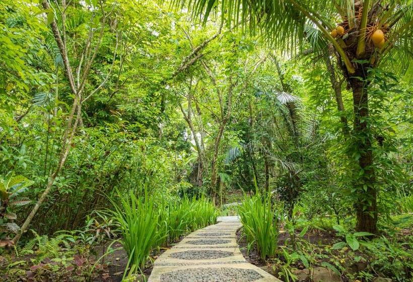 Thalassa Dive & Wellbeing Resort Manado