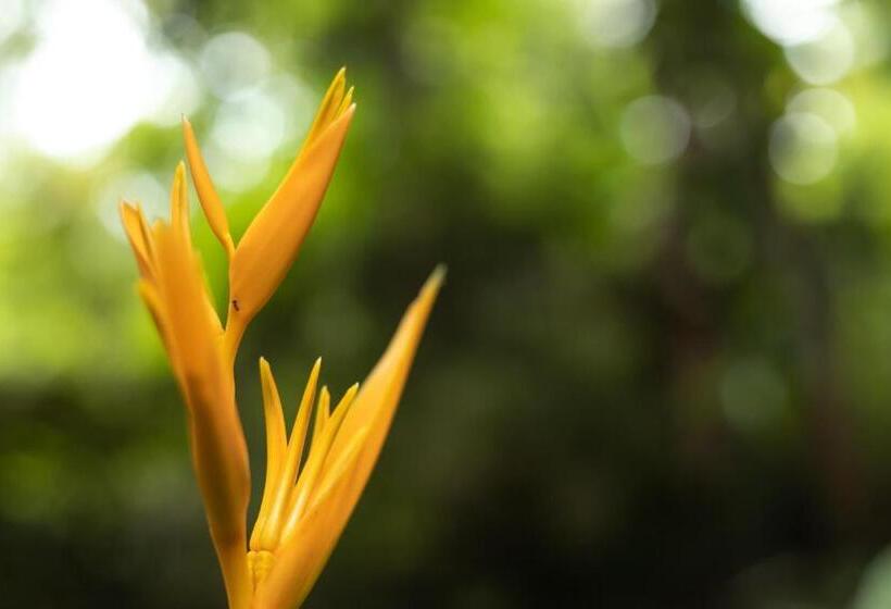 Thalassa Dive & Wellbeing Resort Manado