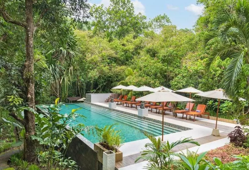 Thalassa Dive & Wellbeing Resort Manado