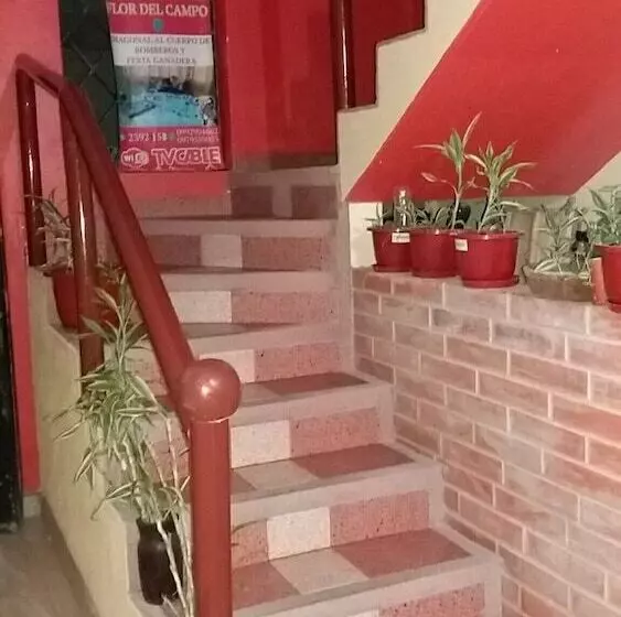 ホテル Flor Del Campo