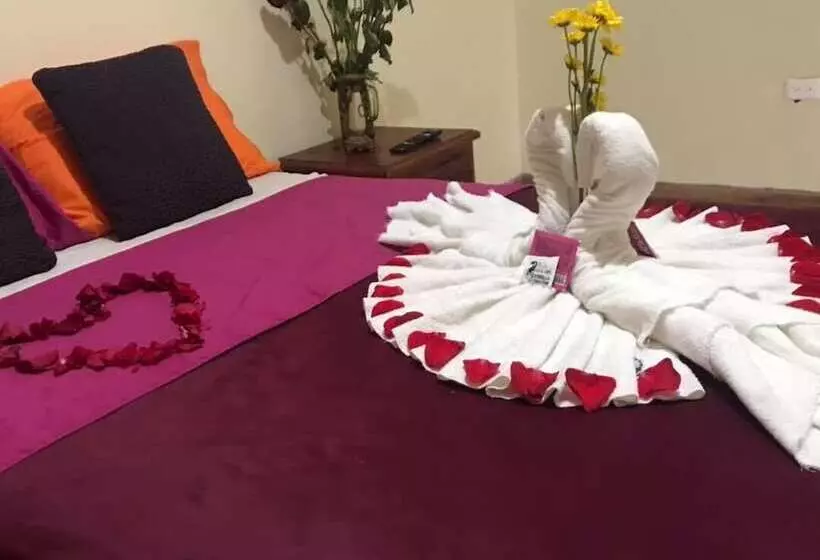 ホテル Flor Del Campo