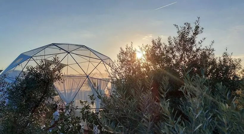 Maaseutuhotelli Glamping Skies   Adults Only