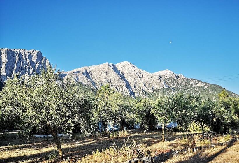 膳宿费 2nd Private Room In The Attic With Shared Bathroom Use
